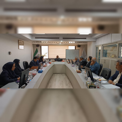 تأکید معاون پژوهشی بر تقویت ظرفیتهای بومی برای حل مسائل مناطق ساحلی خلیج فارس
