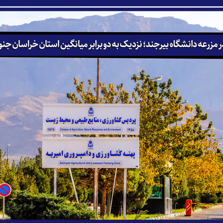 رکورد عملکرد گندم در مزرعه دانشگاه بیرجند؛ نزدیک به دو برابر میانگین استان خراسان جنوبی