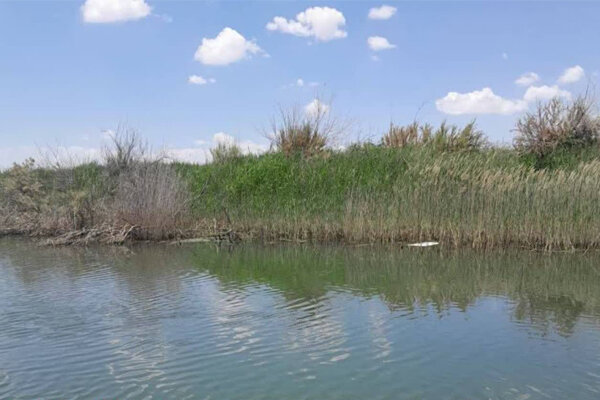 تالابهای هامون و جازموریان؛ کانونهای مهم تولید گرد و غبار در کشور