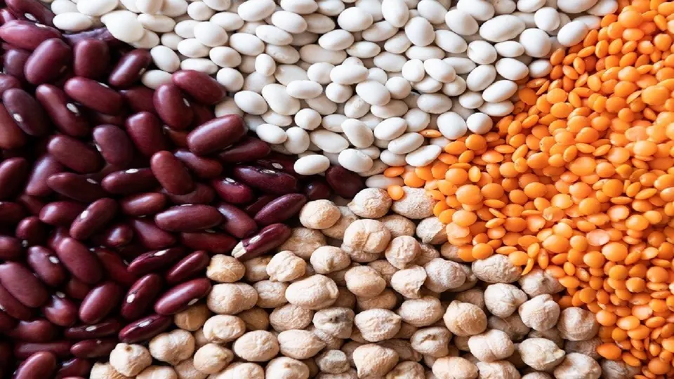 نتایج یک پژوهش: حبوبات خطر ابتلا به دیابت و سکته مغزی را کاهش می‌دهند